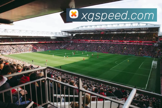 新贵游戏官网服务体系